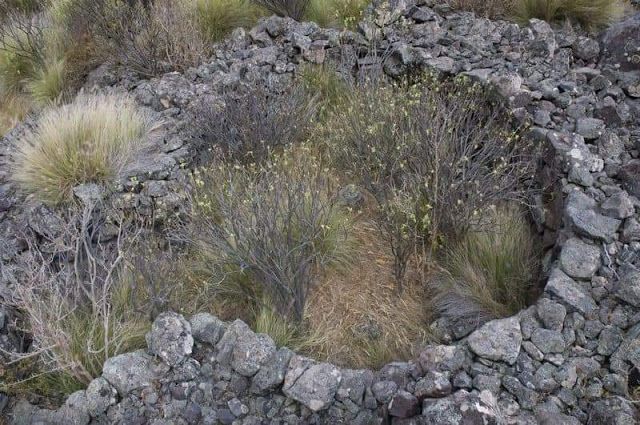 30 EL AGAETE PREHISPÁNICO