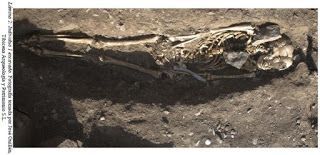 La Palmita- Roque Antigafo