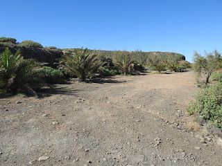 EL AGAETE PREHISPÁNICO