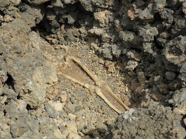 58 EL AGAETE PREHISPÁNICO