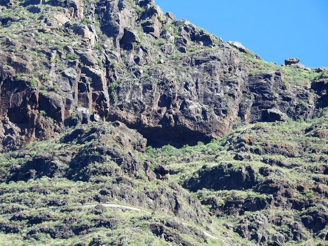  EL AGAETE PREHISPÁNICO