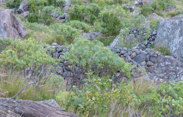  Túmulos altos de Guayedra.