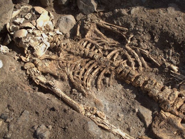 Roque Antigafo  .Fecha calibrada: 1260-1310 d.C.