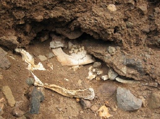  EL AGAETE PREHISPÁNICO