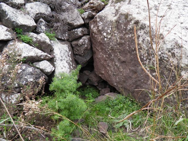 Fuente la Clica, al borde del camino, próxima al barranco María.