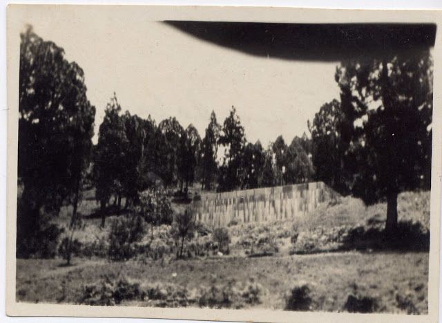 Tamadaba años treinta del siglo XX.