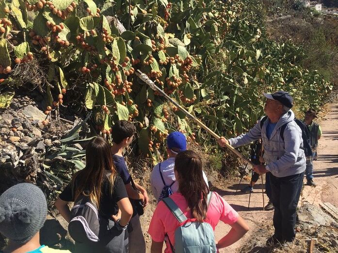 alumnosmontañasagradas