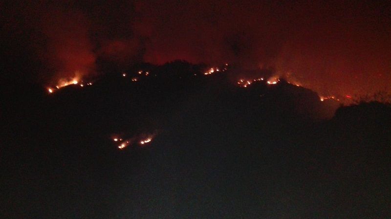 incendio6