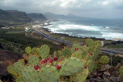 carretera de baaderos