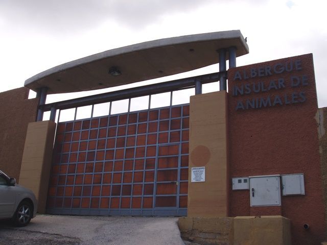 albergueanimales