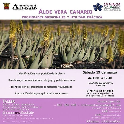 aloearucas