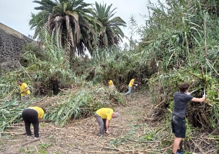 1 Ecovoluntariado Cardones 14.08.2021