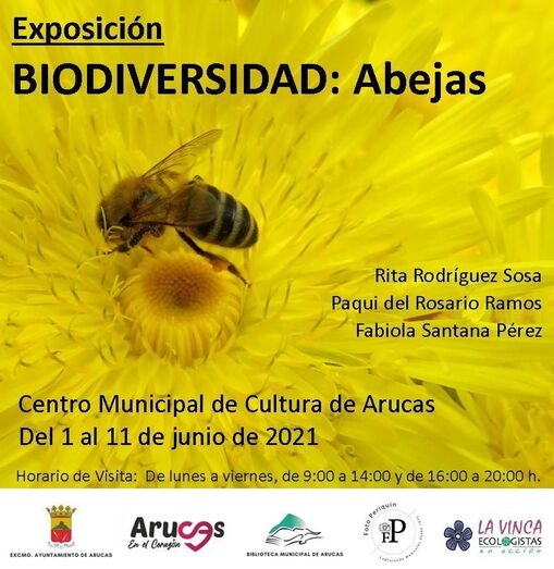 expoabejas