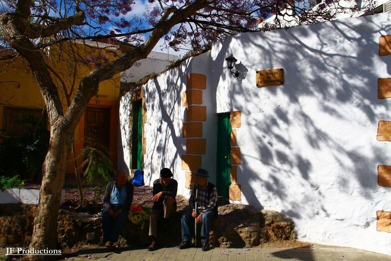 El Rincón de la Jacaranda