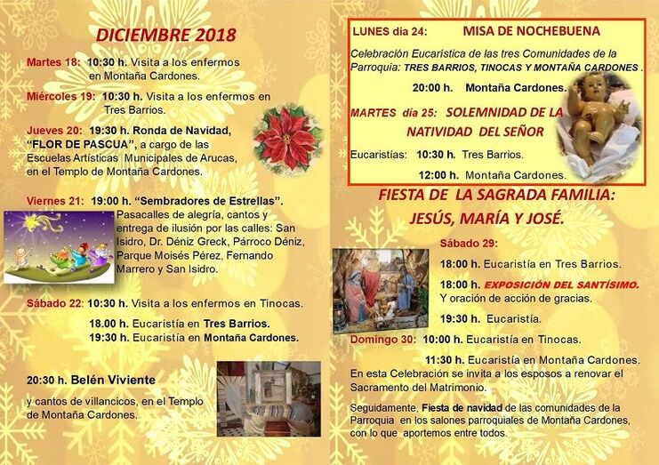 cardones navidad