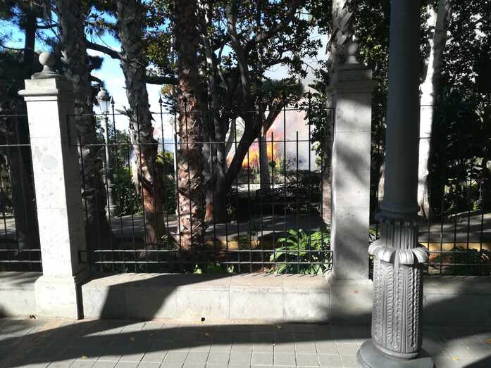 incendioparquearucas