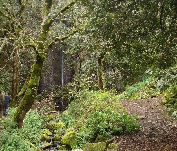 senderodidacticoenero 2