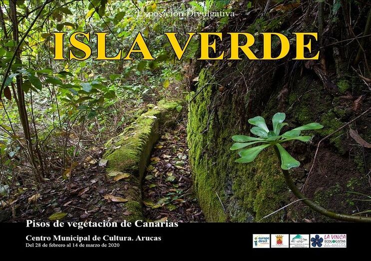 Cartel ISLA VERDE