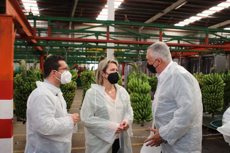 aliciacooerativaenero