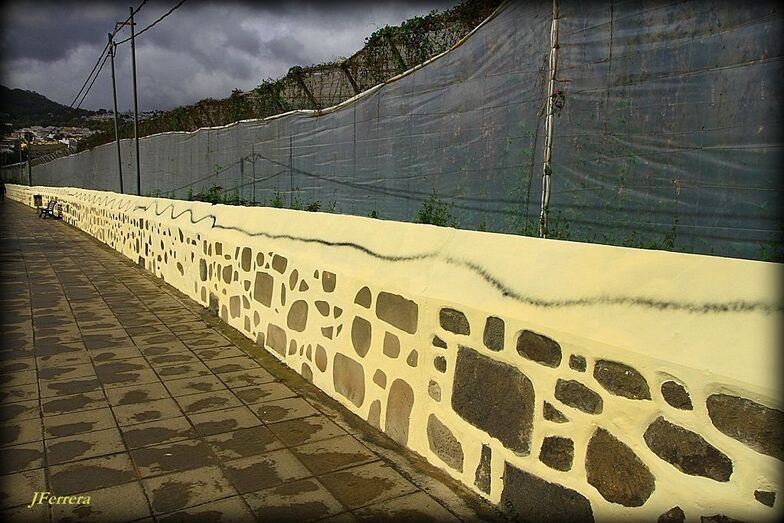 avdacolesterolarucaspintadas01