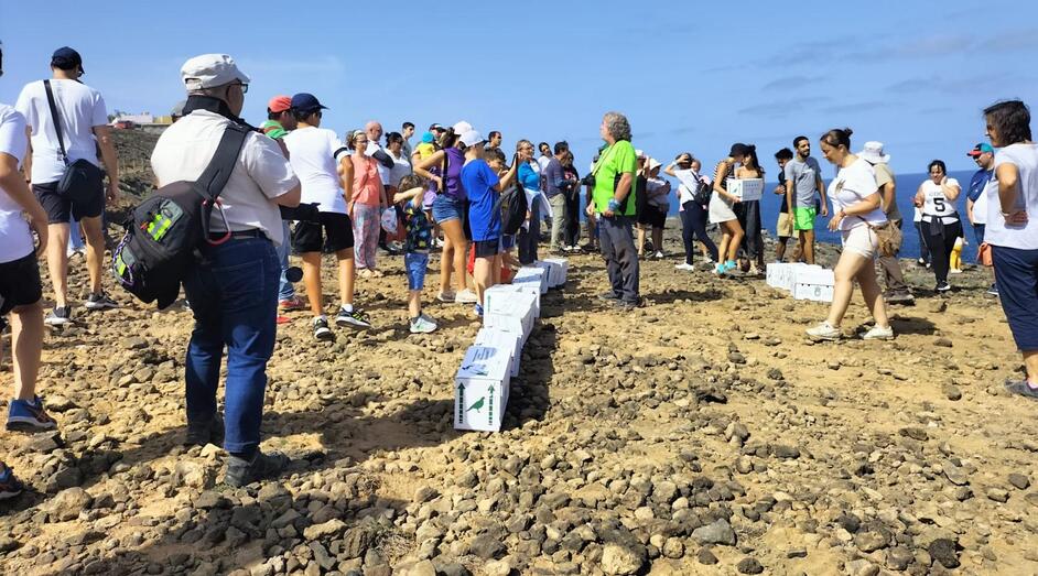 sueltadepardelas202201