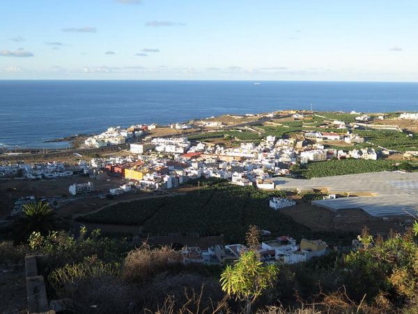 arucas79