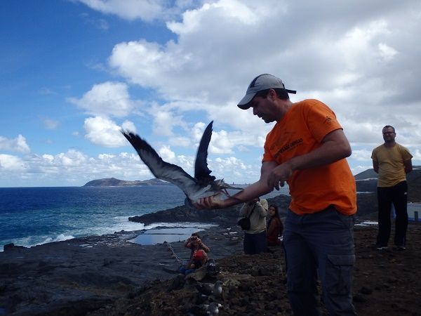 arucaspardelas