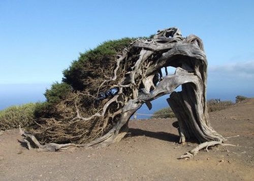 elhierro