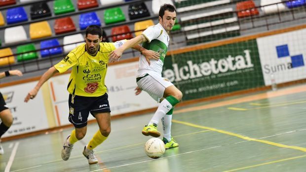 elche foto