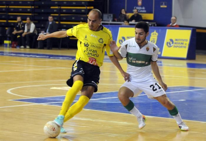 zeuscagrancanaria2015