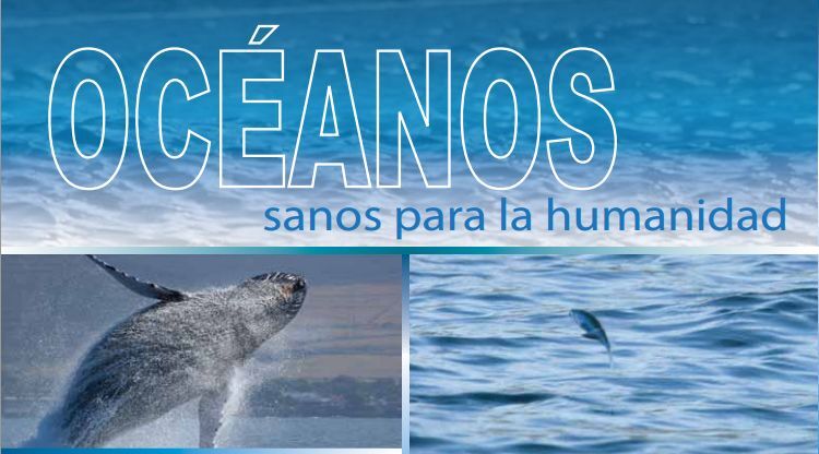mes oceanos sanos