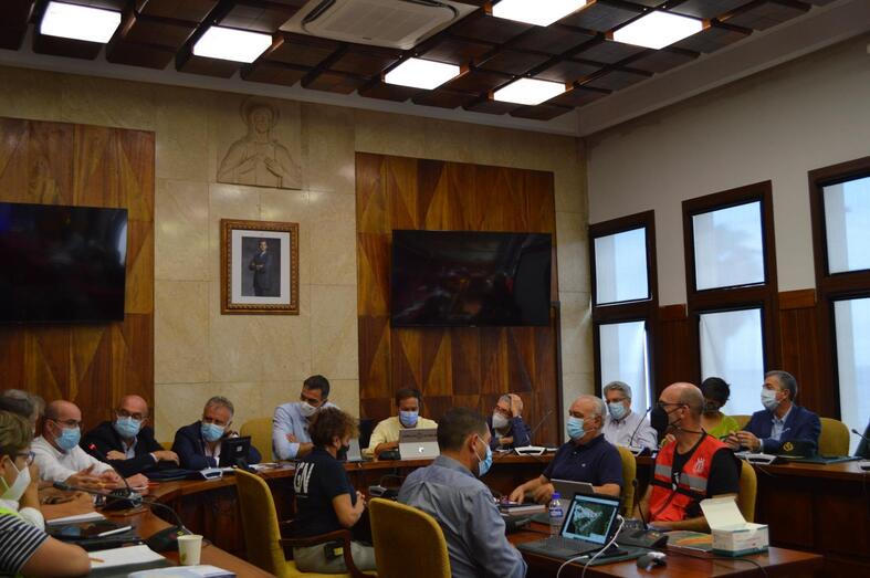 0203Reunión Comité Director