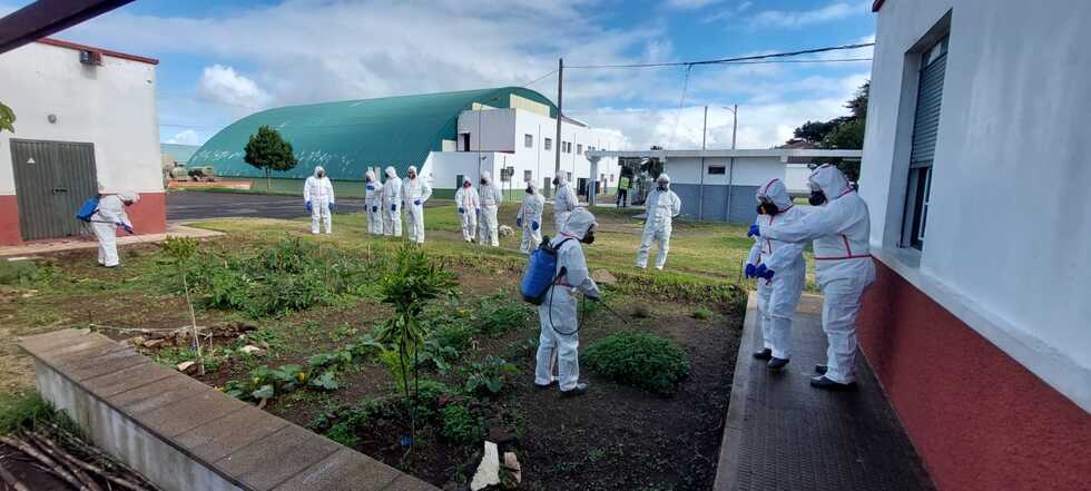 2. Instalación y mantenimiento jardines