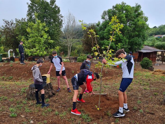 arboleuropavalleseco