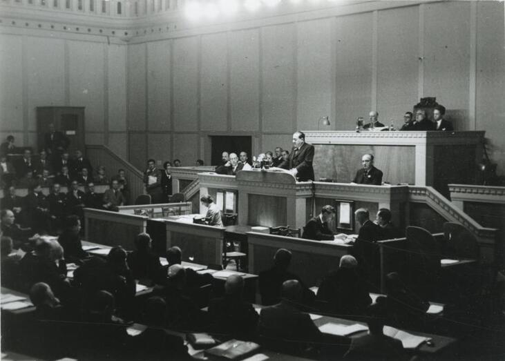 Imagen Negrin en Ginebra