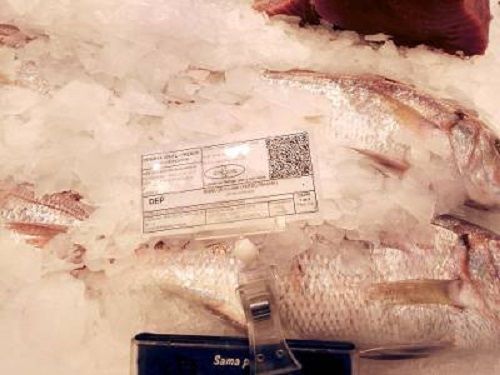 tarjeta pescado