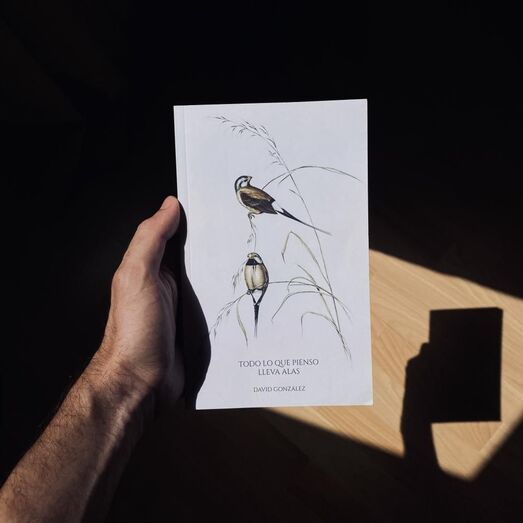 Todo lo que pienso lleva alas 1