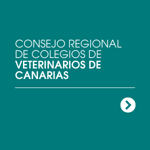 consejo veterinarios canarias
