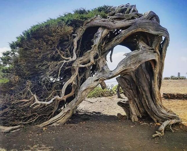 sabinaignacioaroquelugo