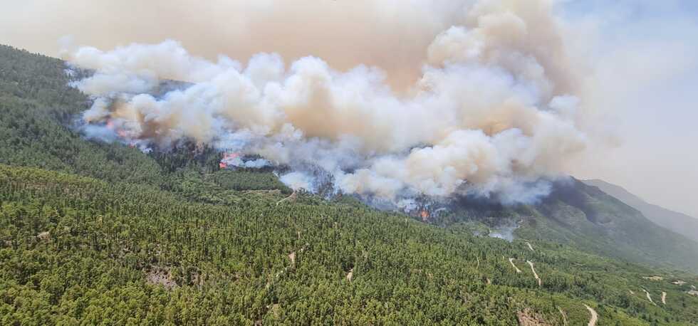 230722 Imagen del incendio