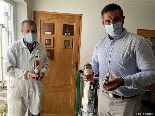 Apiario en Gran Canaria