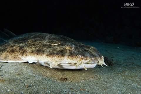 FB IMG 1474484845467