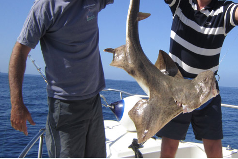 capture 20150701 004750