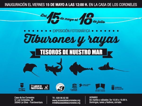 tiburonesrayasexpo