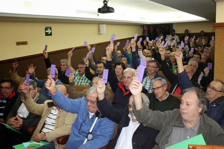 votacionfederacionfutbol2015