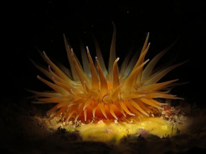 ALBERTO ALVAREZ MARQUEZ NURSEL AKTURK C03 NP IMG 8195