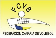 cabecera logovoleibol