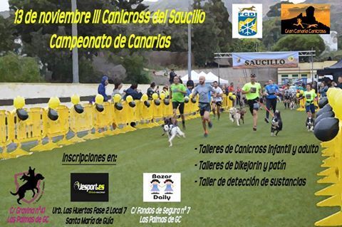 cartel III Canicross