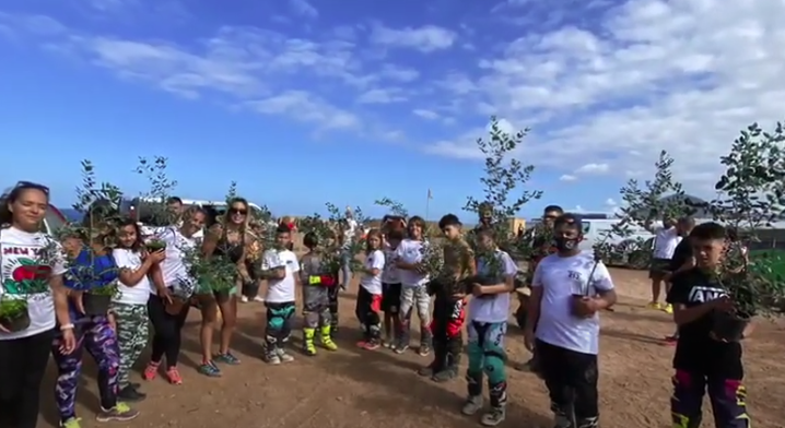 plantacioncircuitomx