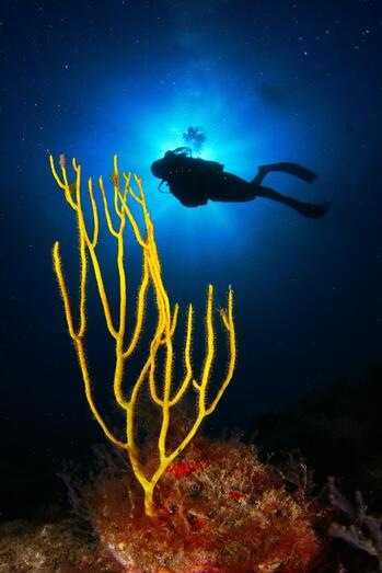 Marcos González Naira Hernández